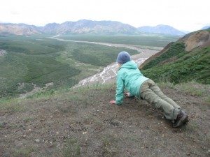 Denali National Park. National Parks to Visit