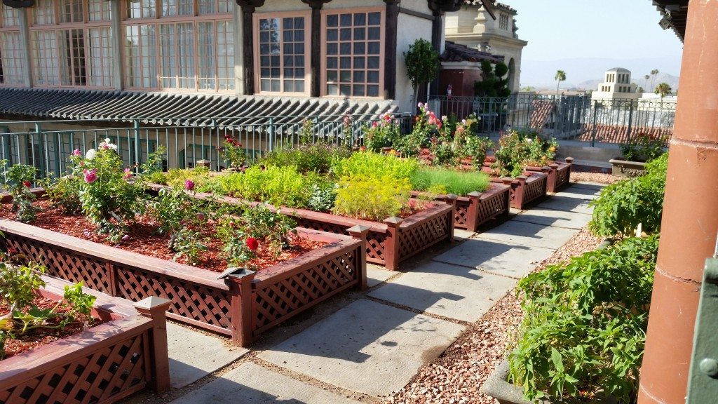 Rooftop herb garden