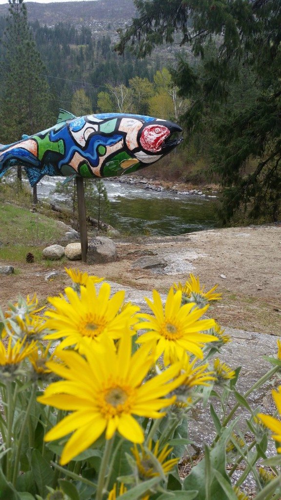 fish and flowers