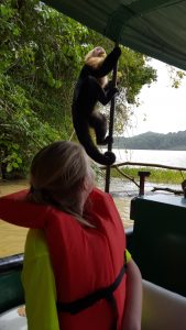 Monkey on the boat!