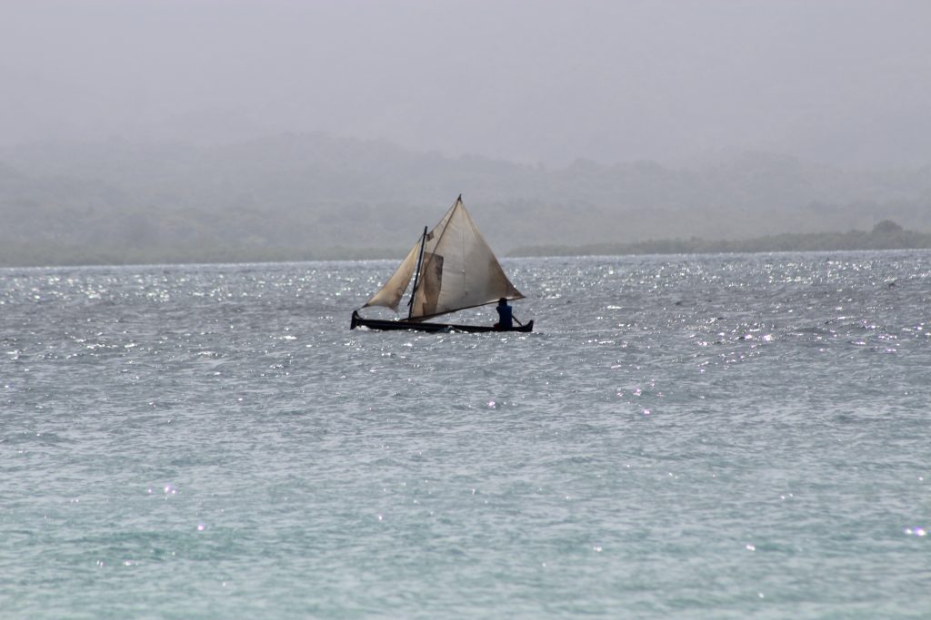 Fisherman passing by...