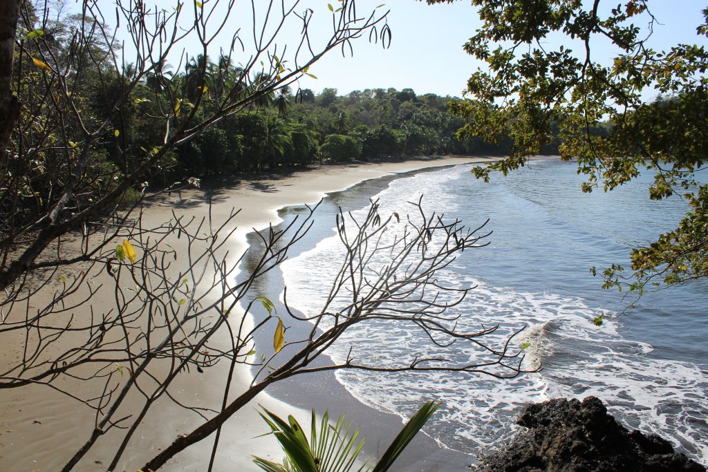 One of our beaches.